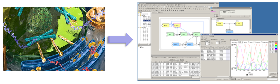 Biologia dei Sistemi